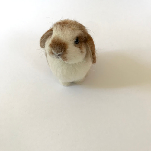 うさぎ 羊毛フェルト ロップイヤー ミニうさぎ ブロークンオレンジ