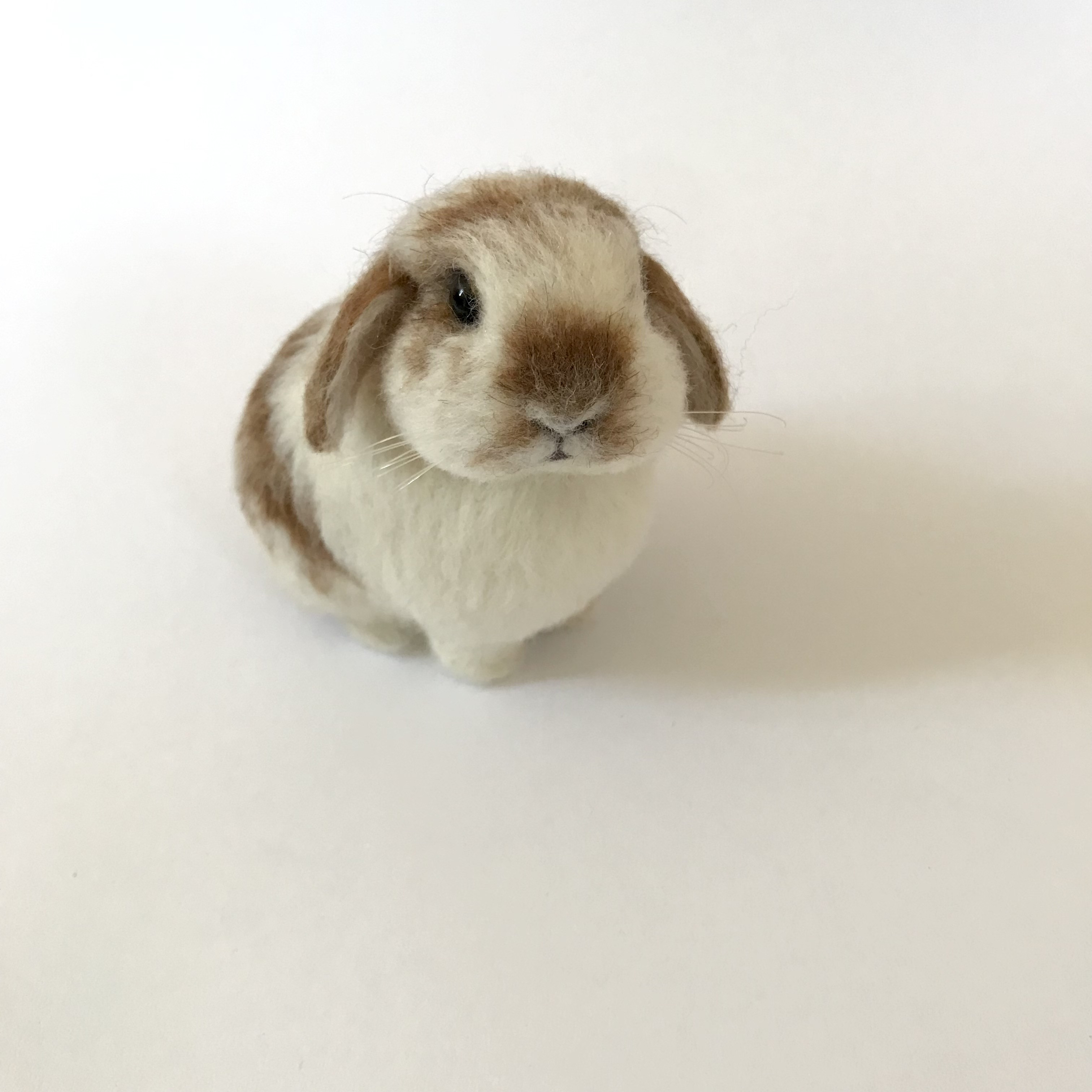 ♡ロップイヤーうさぎちゃん♡