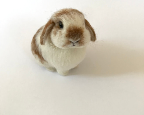 97ee10c2fb72fc4536f858fb37ff04