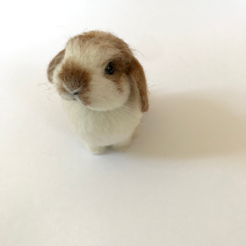 うさぎ 羊毛フェルト ロップイヤー ミニうさぎ ブロークンオレンジ