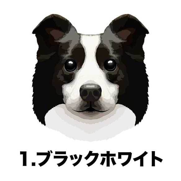 【 ボーダーコリー 毛色2色 パターン 】スマホケース　クリアソフトケース　犬　うちの子　iPhone &Android 2枚目の画像