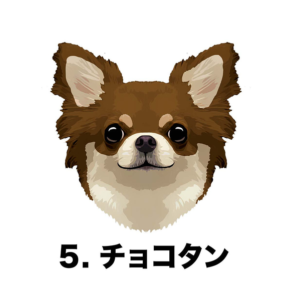 【 チワワ ロングコート 毛色6色 パターン 】スマホケース　クリアソフトケース　犬　iPhone & Android 6枚目の画像