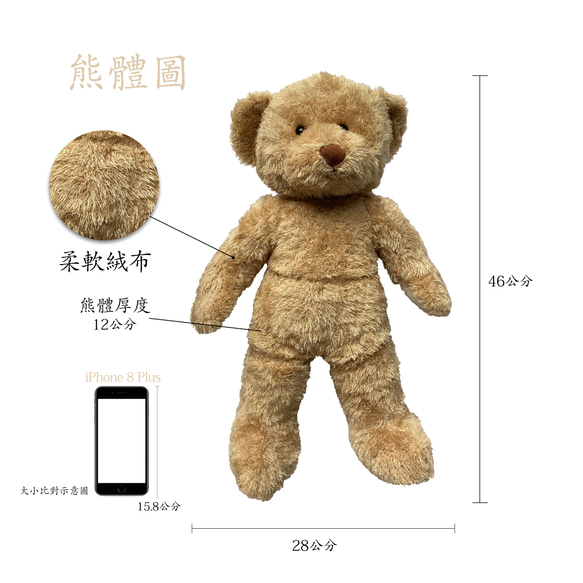 KAI KAI Designer Bear No.5 第5張的照片