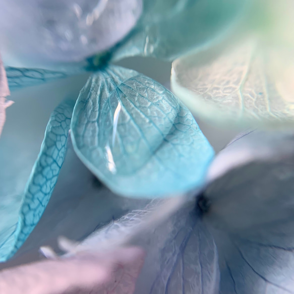雨上がりの紫陽花サシェ/ラベンダーの香り 4枚目の画像
