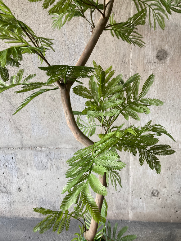 光触媒　人工観葉植物　ウォールグリーン　フェイク　フラワー　エバーフレッシュ 7枚目の画像