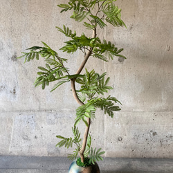 光触媒　人工観葉植物　ウォールグリーン　フェイク　フラワー　エバーフレッシュ 2枚目の画像