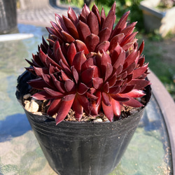 8c9f7549c2b5daaedfadc736bf9370