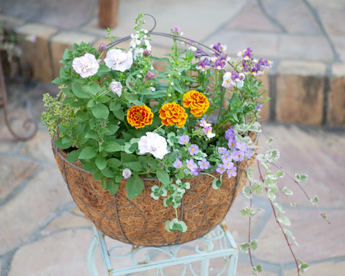 2d35602839ab7dadaf84f6e35524f9