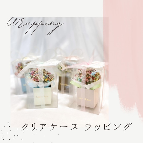 かすみ草】ミニチュアBoxドライブーケ【レインボー】 ドライ かすみ草】ミニチュアBoxドライブーケ【レインボー】 ドライ