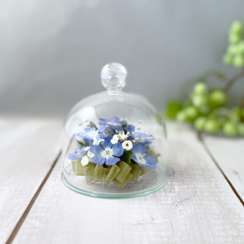 ボトルフラワー ネモフィラ アトリエRyoko 20cm×18cm お花 ドライ