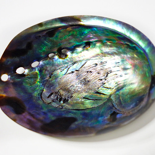 大きめアワビの貝殻 外側鏡面加工済 レインボーアバロンシェル その他