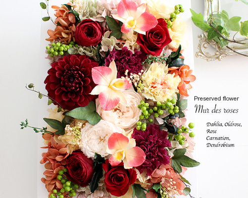 49bdf27ef8e680c6f1063cd84fdeed