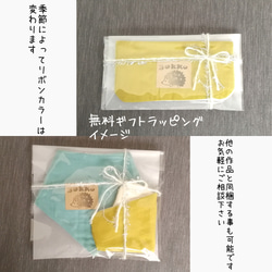 【送料無料】【リバティ】折りたたんで使うティッシュケース【カペル】 12枚目の画像