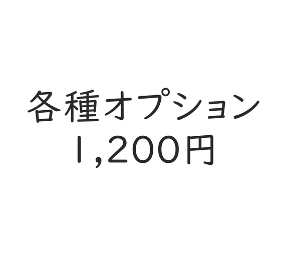 各種オプション　1,200円 1枚目の画像