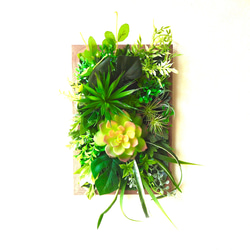 再販　ウォールグリーン　30×20cm アーティフィシャルフラワー　誕生日　プレゼント　多肉植物　フェイク　新築祝い　緑 2枚目の画像