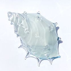 受注製作：貝殻のガラスの器、リゾートラグーン「シェルの器」 6枚目の画像