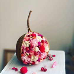 幸せを呼ぶブッダナッツ クリスマスセット ドライフラワー Bn-base