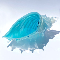 受注製作：貝殻のガラスの入れ物「シェルの器」大きめ 4枚目の画像