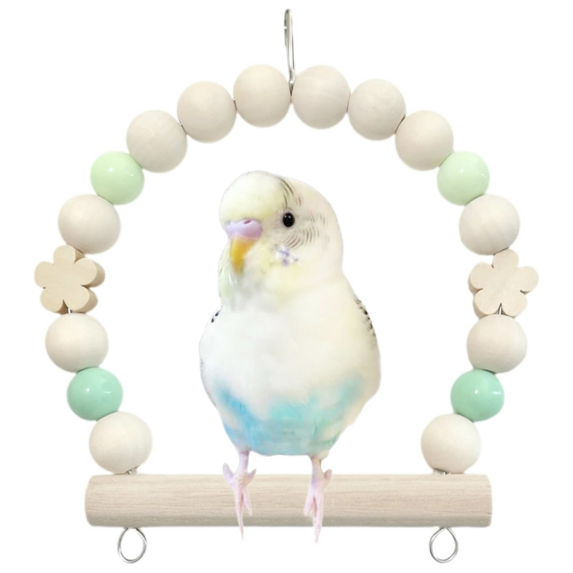 日本製 セキセイインコ 鳥 インコ ブランコ TC22：グリーン