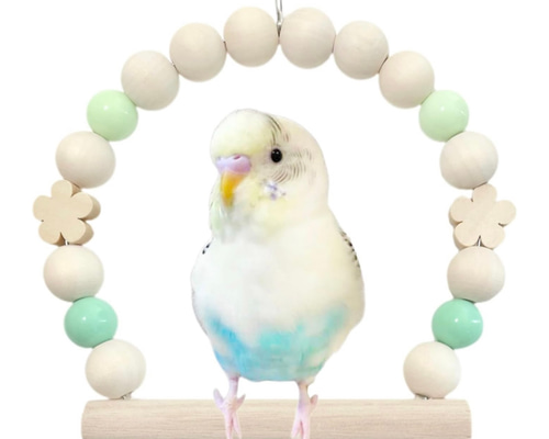 希少 ダール イェンセン セキセイインコ グリーン 鳥 フィギュリン 51jHg7XyFpL._UF350,350_QL50_.jpg