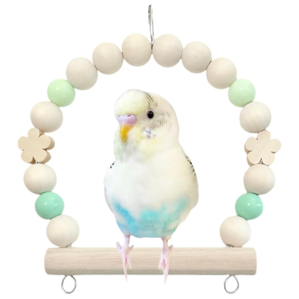 日本製 セキセイインコ 鳥 インコ ブランコ TC22：グリーン