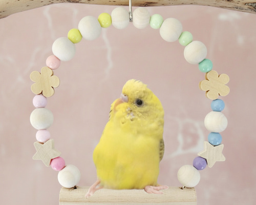 Sサイズ 日本製 セキセイインコ インコ 鳥 ブランコ NA81：パステル
