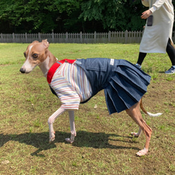 イタグレ服 グラインドッグ サロペットスカート ヒッコリーサロペットスカート - イタグレ(イタリアングレー