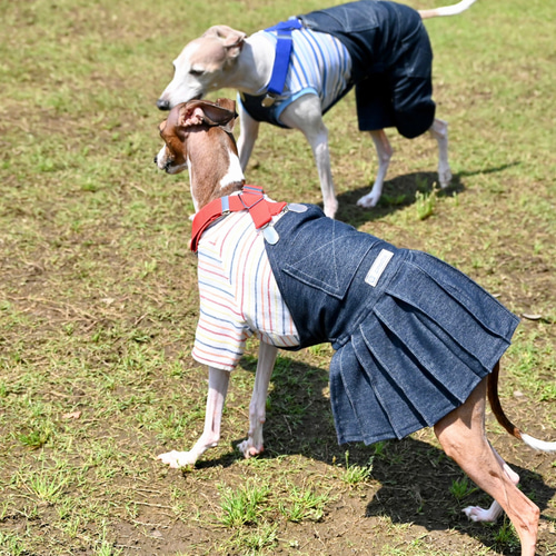 イタグレ服 サスペンダー付きサロペスカート ペット服
