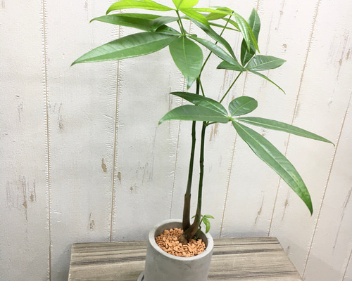 82d3b0c3a9a1abfb01350b824553a0