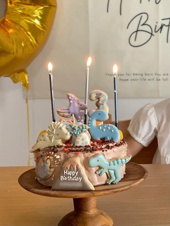 種類が増えました☆【選べる3頭】恐竜アイシングクッキーセット 5枚目の画像