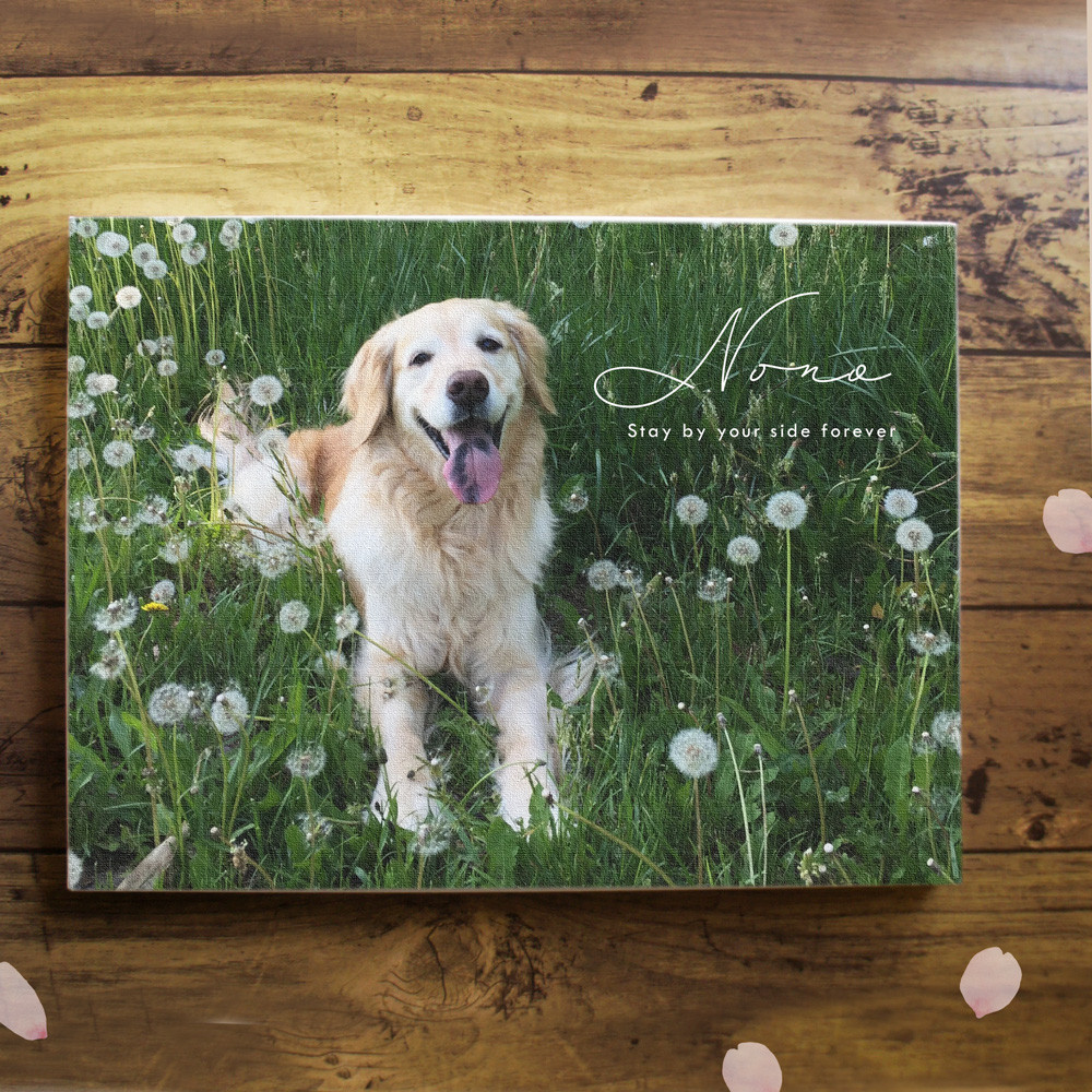 ペット 思い出キャンバス 33×24センチ　キャンバス印刷 ウチの子の可愛い写真を壁に飾りたい