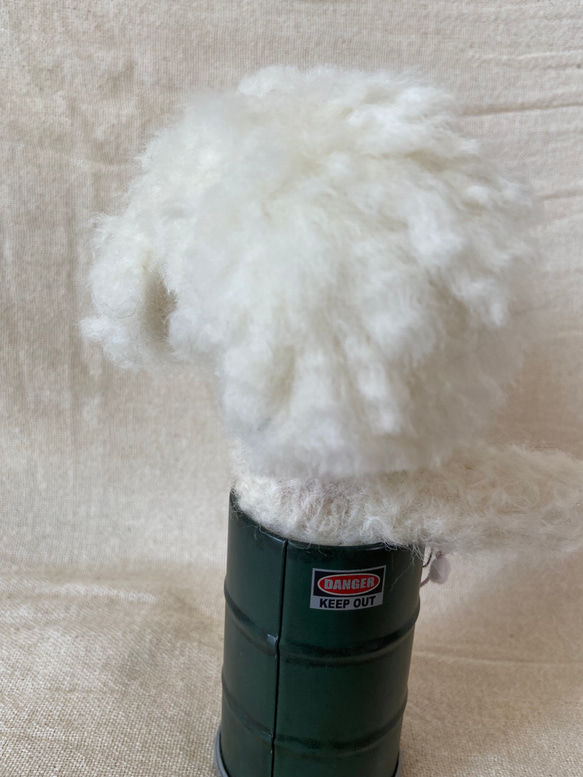 トイプードル　羊毛フェルト　羊毛　愛犬　プレゼント　缶入り 7枚目の画像