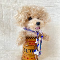 トイプードル　羊毛フェルト　羊毛　愛犬　プレゼント　缶入り 3枚目の画像
