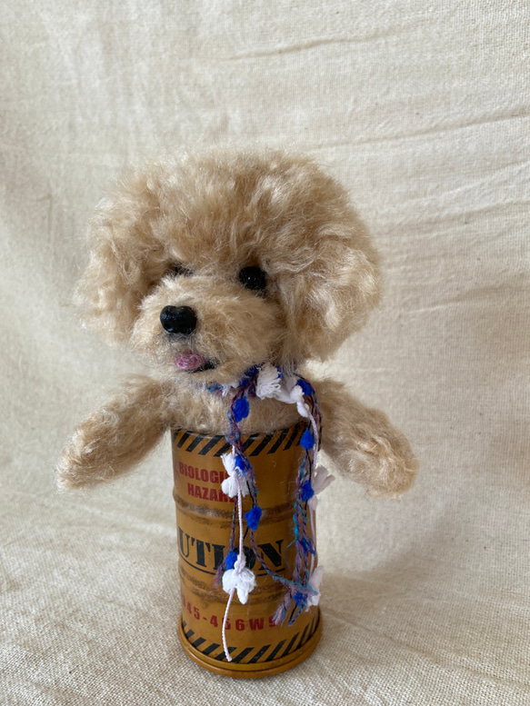 トイプードル　羊毛フェルト　羊毛　愛犬　プレゼント　缶入り 4枚目の画像