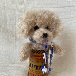 トイプードル　羊毛フェルト　羊毛　愛犬　プレゼント　缶入り 6枚目の画像