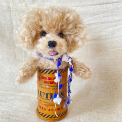 トイプードル　羊毛フェルト　羊毛　愛犬　プレゼント　缶入り 1枚目の画像