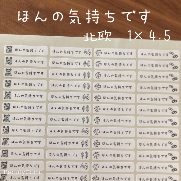 4.5×1センチ　角丸　A4シート　ほんの気持ちシール　マスキングテープ　北欧 1枚目の画像