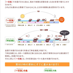 ◆おかとみで一番豪華な詰合せ～島根県沖地魚一夜干し『吉兆之舞』きっちょうのまい 11枚目の画像