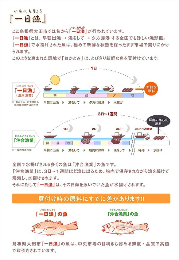  第11張的照片