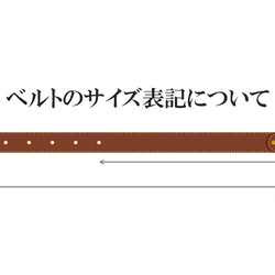 【ポルトガルから直輸入】珍しい♪コルク製メンズファッションベルト 7枚目の画像