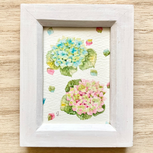 透明水彩画 ミニ額「優しい紫陽花」プチギフト イラスト