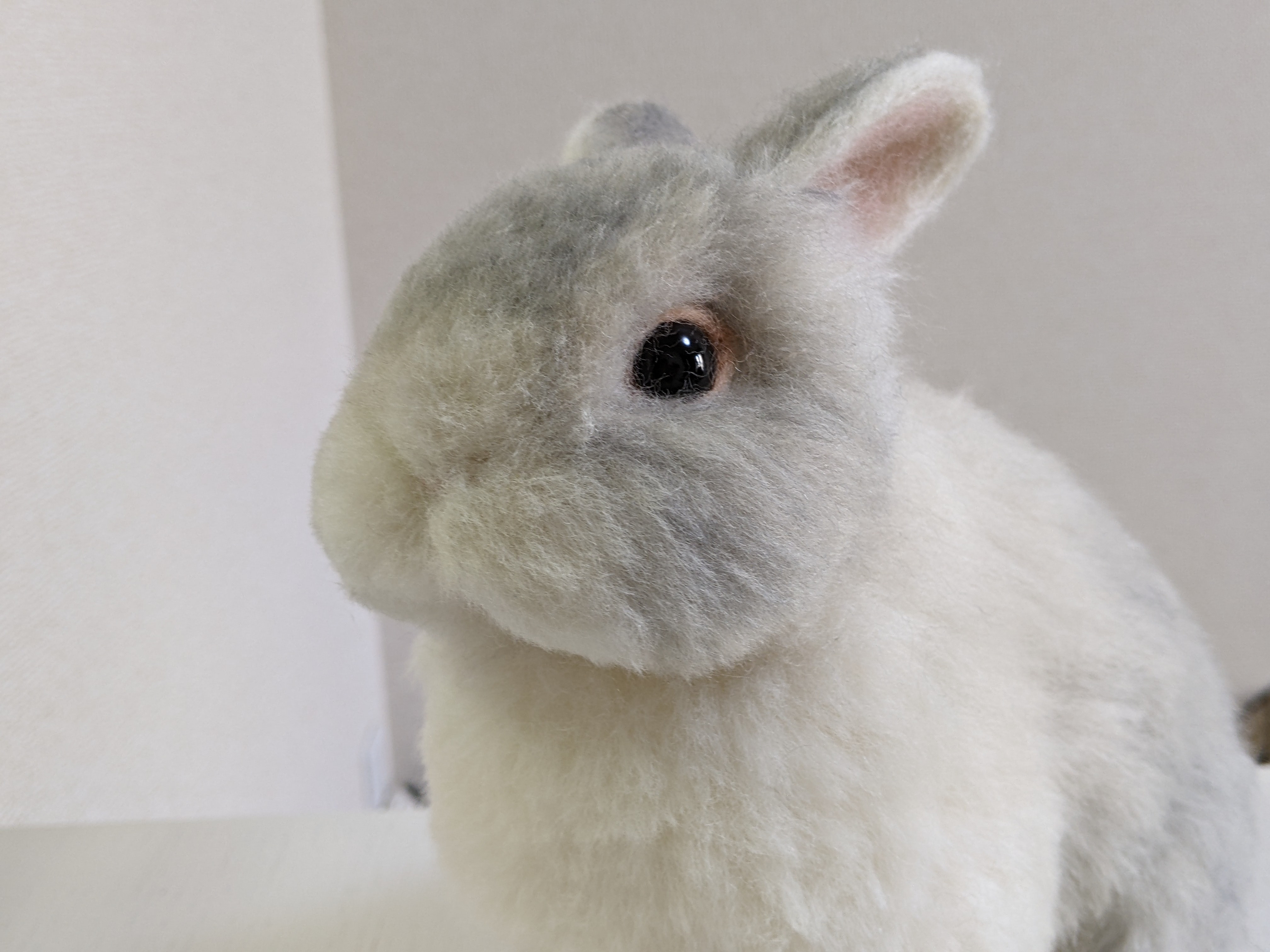 ネザーランドドワーフ（うさぎ）薄グレー 植毛 羊毛フェルト