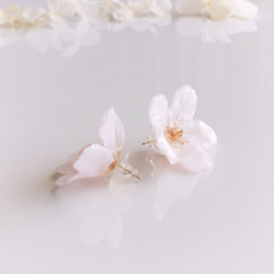 【1点のみ】Everpink Sakura. 本物のお花 桜のスタッドピアス（14kgfゴールドフィルド）アレルギー対応 6枚目の画像
