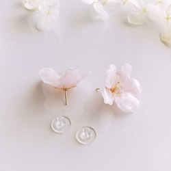 【1点のみ】Everpink Sakura. 本物のお花 桜のスタッドピアス（14kgfゴールドフィルド）アレルギー対応 4枚目の画像