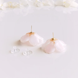 【1点のみ】Everpink Sakura. 本物のお花 桜のスタッドピアス（14kgfゴールドフィルド）アレルギー対応 8枚目の画像