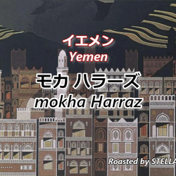 【3㎏限定】モカハラーズ ＜イエメン＞※店舗併売※マイクロロット 1枚目の画像