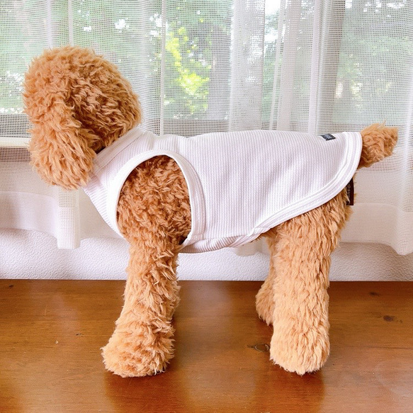 犬服　サマータンクトップ　シンプルホワイト 5枚目の画像
