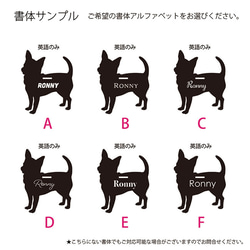 もう迷わない★日本製 国産アクリル使用 頑丈！世界に一つの名札 カートタグ バギータグ クレートタグ タグ キャリーケー 4枚目の画像