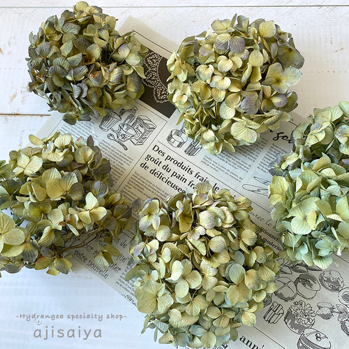 秋色紫陽花の可愛いお花たちのリースஐ⋆*21㌢ナチュラルドライ