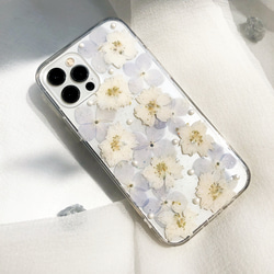 【千鳥草】押し花ケース iPhone15Pro・SE・Xperia・Galaxy・AQUOSスマホケース 1枚目の画像